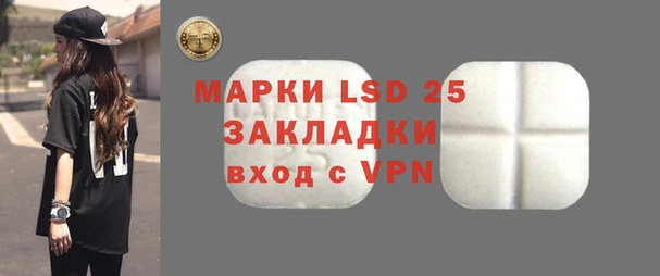 молекула духа Богданович