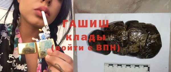 молекула духа Богданович
